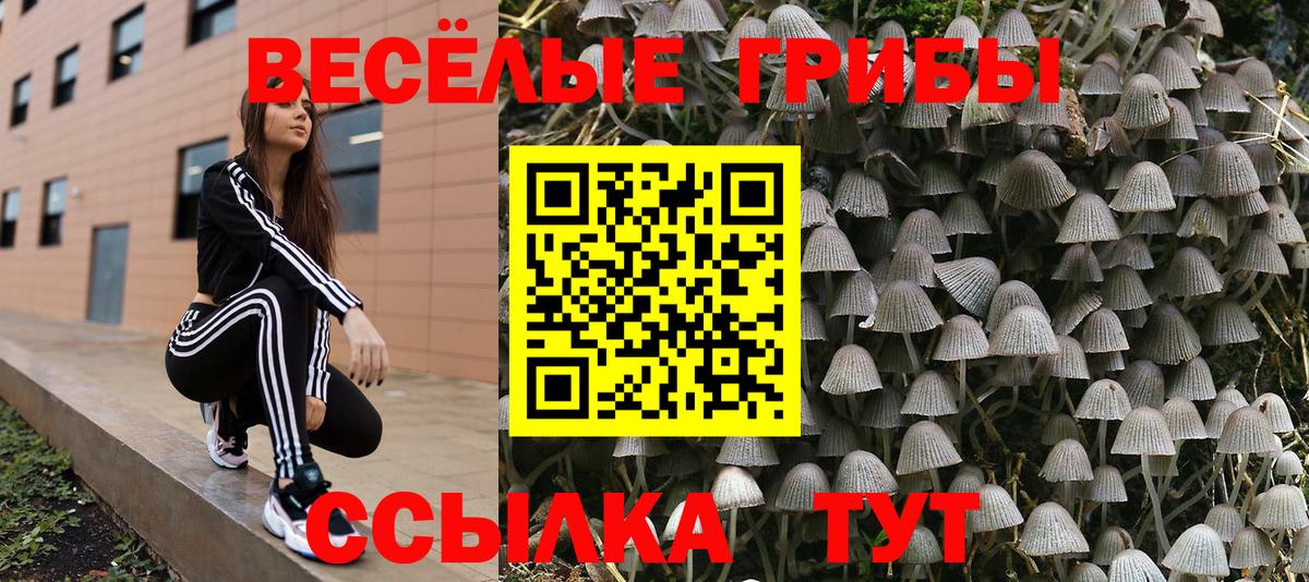 что такое   Вход с VPN  Холмск  Псилоцибиновые грибы ЛСД 